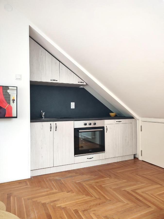 Apartman Ns Dan Private Parking Novi Sad Exterior photo